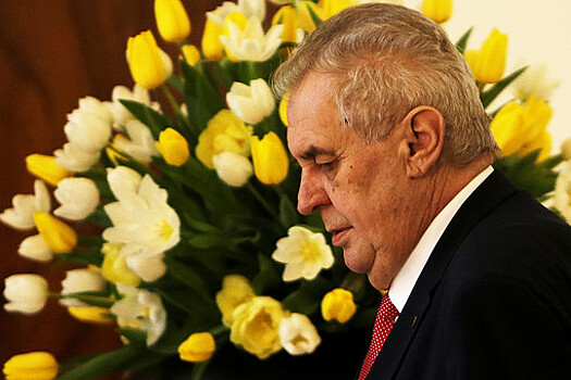 Президент Чехии намерен назначить Бабиша премьером