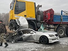Двое россиян погибли в раздавленной грузовиком машине