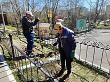 Саженцы ильма высадили в парке Дома офицеров