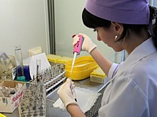 Минздрав рассказал об угрозе вируса MERS в РФ