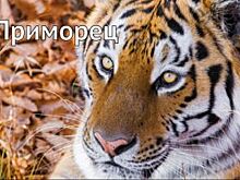 Жители Приморья уже могут оформить социальную карту «Приморец»
