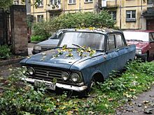 Семенников: Брошенные авто — это самозахват территории