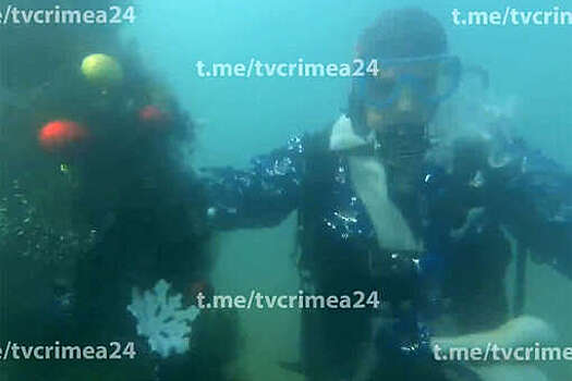 Крым 24: дайверы установили на дне Черного моря новогоднюю елку