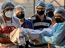 «Всюду царят смерть, безумие и хаос»