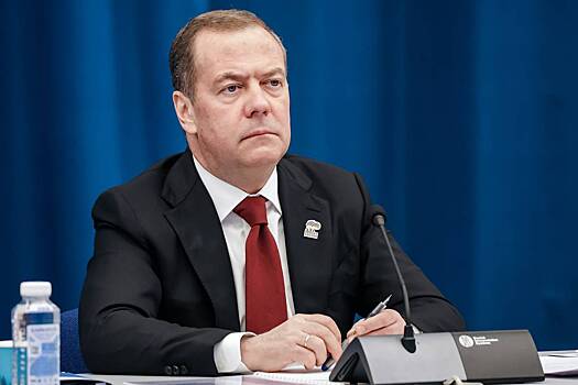 Медведев объяснил признание партии «Альтернатива для Германии» экстремистской
