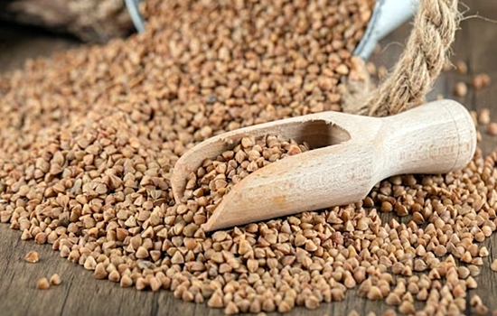 Жителям Волгоградской области рассказали, как выращивать гречиху на даче