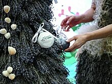 Где и как необычно встретить Новый год в Крыму