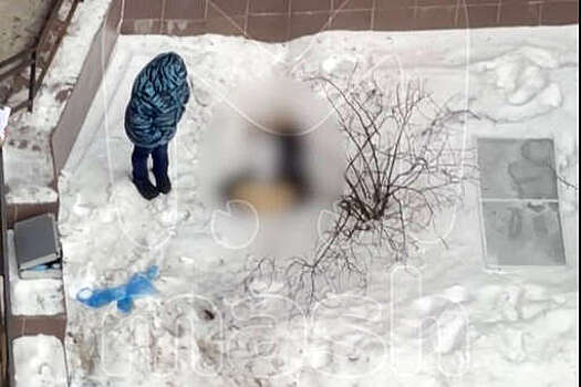 Mash: в Петербурге во дворе дома нашли тело мужчины без головы