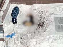 Mash: в Петербурге во дворе дома нашли тело мужчины без головы