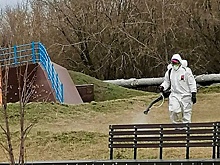 Противоклещевая обработка стартовала в Беловском округе
