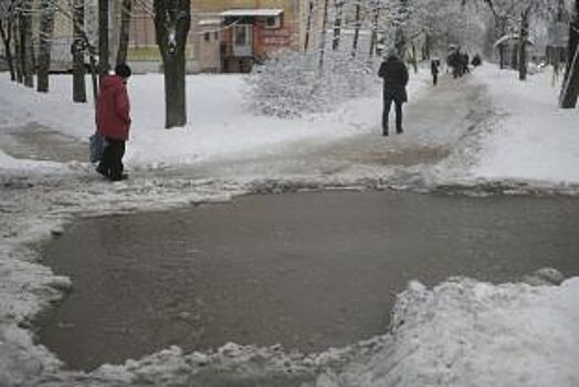 В Красноярске продолжаются споры по поводу применения «Бионорда»