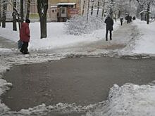 В Красноярске продолжаются споры по поводу применения «Бионорда»