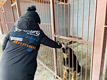 В Северной Осетии кадеты станицы Николаевская в ходе акции «Студенческий десант» узнали о работе кинологов