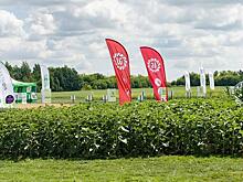 Озимые и яровые на опытных полях Агроволги