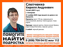 Подросток в коричневых ботинках пропал в Кемерове