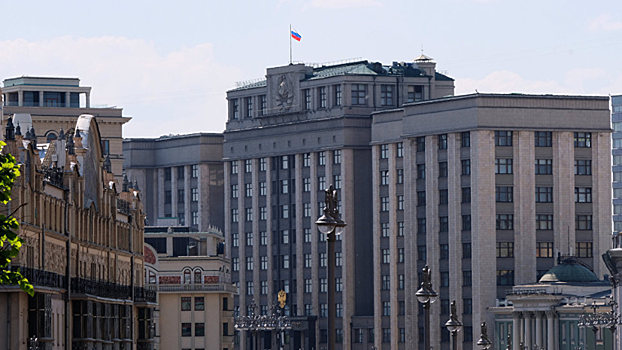 Госдума одобрила поправки в законодательство о митингах