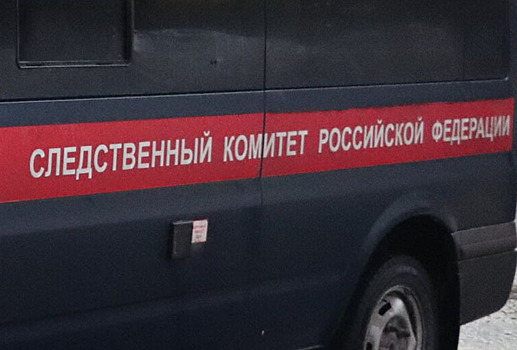 Появилась новая версия в деле о найденном киргизкой в Москве ребенке