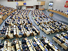 В Госдуме разработали меры для борьбы со сделками по "схеме Долиной"