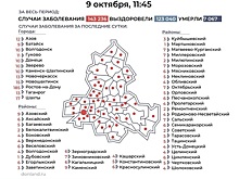 Максим Сиденко назначен главой комитета ЖКХ Саратова