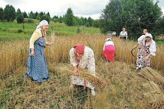 За независимость. Как жители пытаются отстоять своё село в Пермском крае