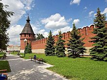 Археологи обнаружили в тульских лесах фрагмент Большой русской засечной стены