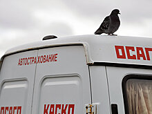 Депутат ГД опасается, что авто начнут "чинить кувалдой" из-за нового ОСАГО