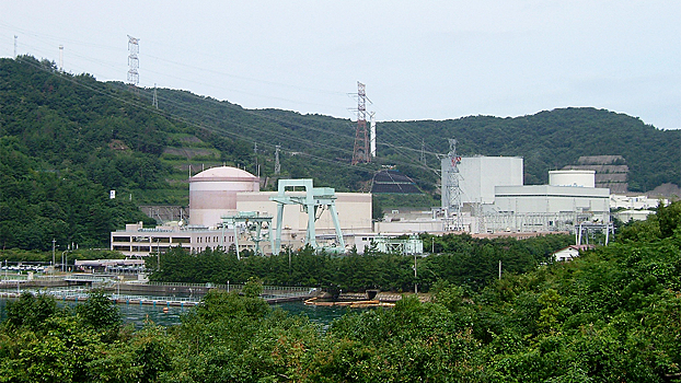 Названа причина задымления на АЭС в Японии
