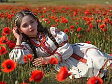 Чтобы защитить хозяйство от порчи &ndash; рассыпьте семена мака: приметы на 16 июля