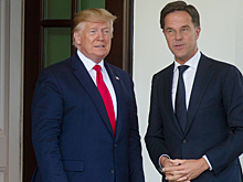 Стала известна цель визита генсека НАТО к Трампу