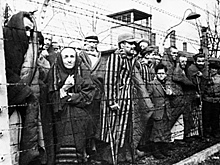 Сестра жертвы Холокоста оценила фото Освенцима