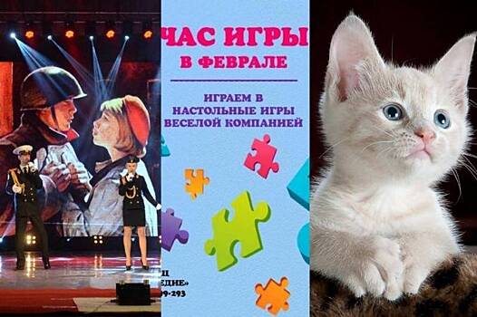Афиша на 21, 22 и 23 февраля: День защитника, кототека и караоке для орущих (6+)
