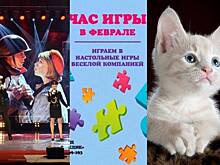 Афиша на 21, 22 и 23 февраля: День защитника, кототека и караоке для орущих (6+)
