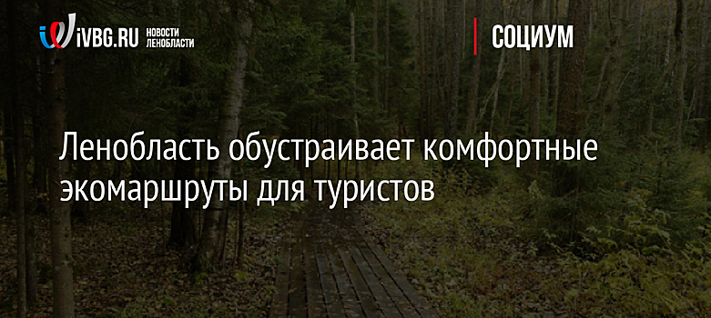 Ленобласть обустраивает комфортные экомаршруты для туристов