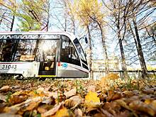 Ряд трамвайных маршрутов в Москве изменит работу