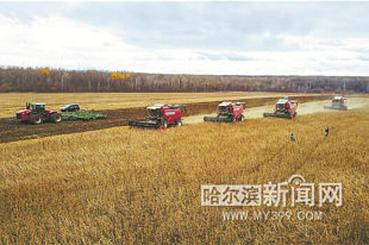 Какие перемены ждут сельское хозяйство в Сибири