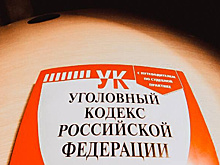 Следователи возбудили уголовное дело после публикации о ЧП на аттракционе в парке Новокуйбышевска