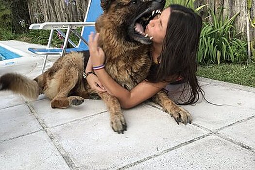 Собака укусила девушку за лицо прямо во время фотосессии