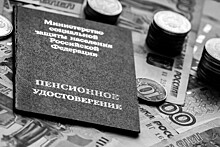 Гонтмахер объяснил, почему в России сильно не вырастут пенсии