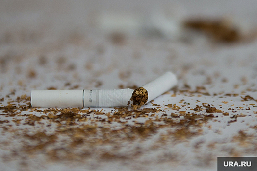 В Госдуме предложили обезличить пачки сигарет