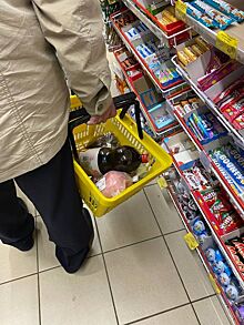 Костромского губернатора поймали за шоппингом в магазине и ахнули от его корзины