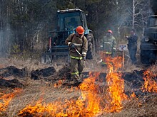 МЧС: в Новосибирской области для борьбы с поджогами будут использовать дроны