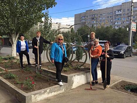 В Волгограде на грантовые деньги посадили розы и можжевельник