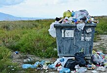 Жители села в Карымском районе боятся, что не смогут оплачивать вывоз мусора