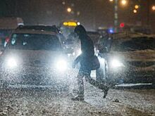 За ночь в Петербурге выпало более четырех сантиметров снега