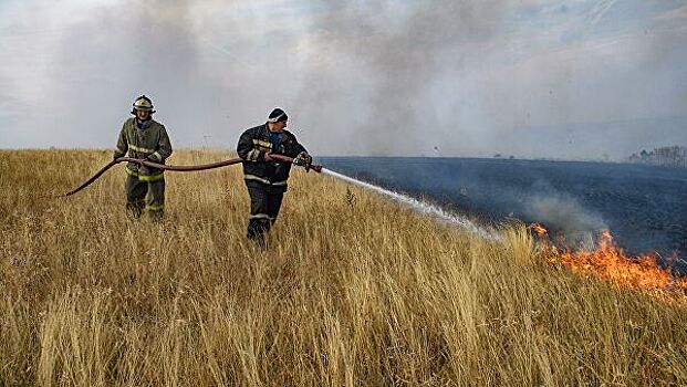 В Воронежской области ликвидировали природные пожары