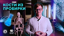 Нижегородские ученые рассказали, как можно получить кости из пробирки