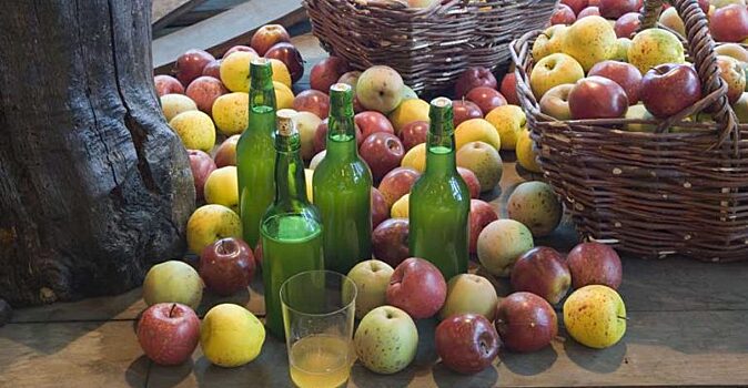 «Сидро-тур» по Испании, или где отведать напиток из райских яблок?