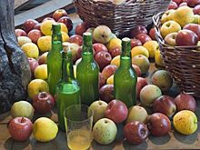 «Сидро-тур» по Испании, или где отведать напиток из райских яблок?