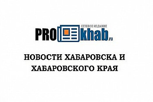 В Хабаровске обнаружили нелегальную свалку из документов мэрии