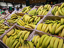 Роскачество проверило иностранную органическую продукцию